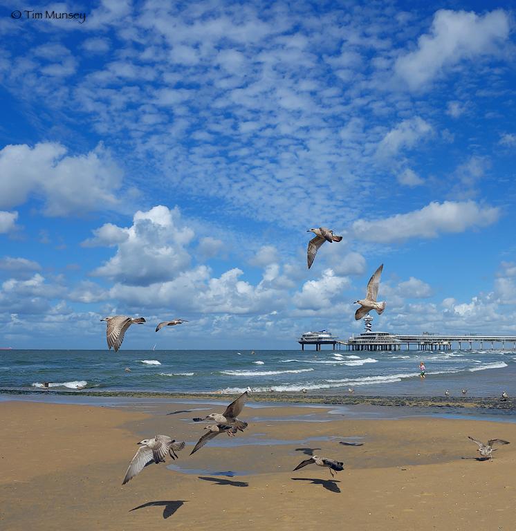 Scheveningen 3.jpg